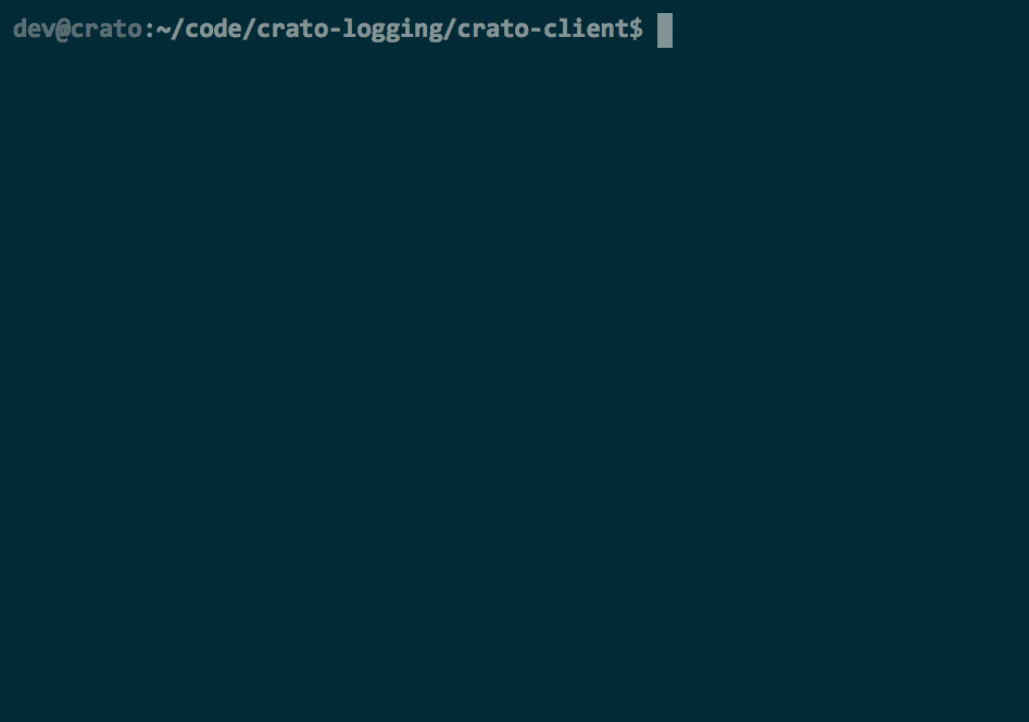 client cli usage